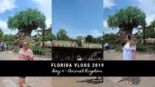 FLORIDA VLOGS 2019 | WALT DISNEY WORLD & UNIVERSAL STUDIOS |DAY 6 ANIMAL KINGDOM| DAILY DISNEY GIRLS