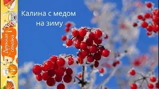 Калина с медом /Лекарство от семи недугов/viburnum honey
