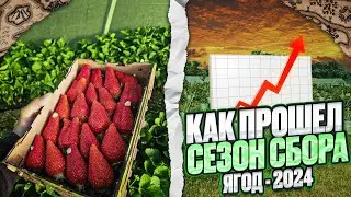 Как прошёл сезон 2024г