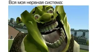 мемы, которые я смотрю чтобы взбодриться