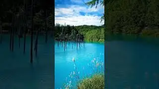 #travel