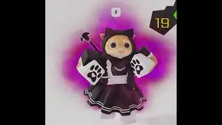 No