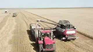 17 сентября 2023 г.