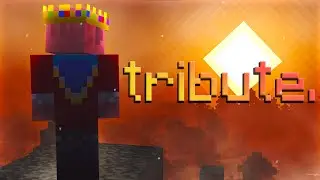 A Tribute to Technoblade