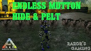 ENDLESS MUTTON - PELT - HIDE