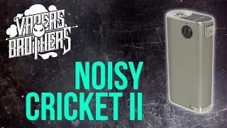 Noisy Cricket II - 25