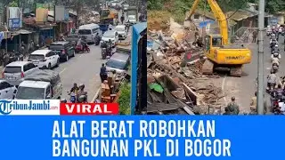 Detik-detik PKL di Puncak Bogor Dirobohkan Petugas