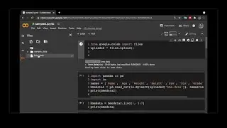 How to load a file in Google Colab