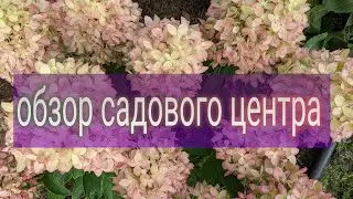 26 августа 2023 г. Садовый центр 12 месяцев Город Дмитров/Совсем НЕ сказка!