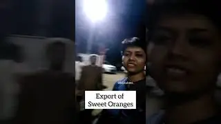 Export of Sweet Oranges I KDSushma
