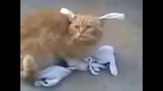 Такого Вы еще не видели  /Laid up, such you did not yet see