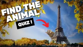 Find the Hidden Animals in the City