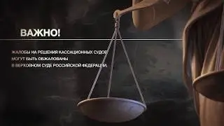 Кассационные и апелляционные суды: что это такое и как обжаловать судебное решение?
