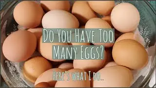 Too Many Eggs?? 🥚 Here's a little trick that'll save you some $$