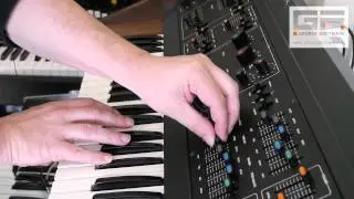 Korg 800DV
