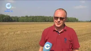 Уборка 2021