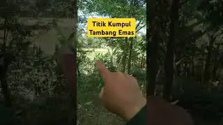 Lokasi tambang emas #alamindonesia #tambangindo #tambangbatubarakalsel #tambangkaltim