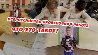 ВПР. Что такое всероссийская проверочная работа? И стоит ли её бояться?