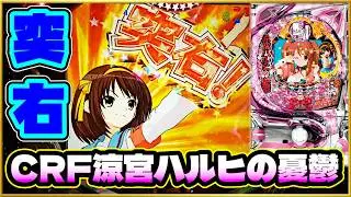 【CRF涼宮ハルヒの憂鬱】 神台！ 最近は名機が全然足りない！ ライトミドルながらまさかの破壊力を見せる！ 赤保留、SOSアクションなど懐かしい激アツ演出が蘇る！ パチンコ実践