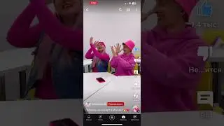 #димдимычмем