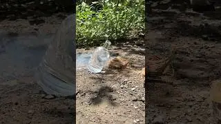 Clear water bottle burning coconut fiber