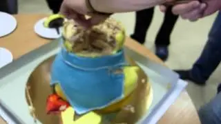 Как мы ели Пикачу