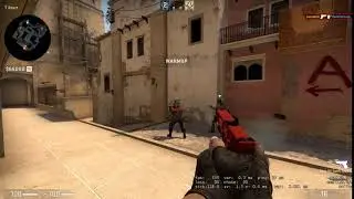 CS:GO hitbox bug