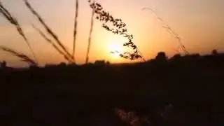 Kisah Atha' yang Digoda Wanita Cantik 