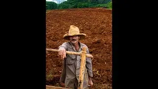 Cuban farmer