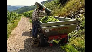 An der Mosel