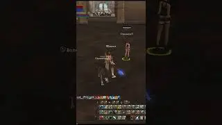 Обменял книгу 4* на браслетики в Lineage 2 Essence