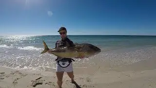 BEACH FISHING SURPRISE!