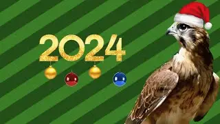 Новогоднее поздравление от Sokola #2024