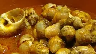 Lumachine di mare al pomodoro e finocchietto selvatico