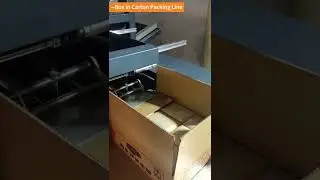 Box in Carton Packing Line  #packingmachine #packingsystem #packingline #cartonpackaging