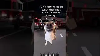 FD shutting down the whole highway: 🤣 #shorts