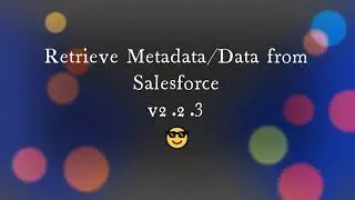 Retrieve Metadata/Data from Salesforce - A Google chrome extension | Version 2.2.3 | DEMO