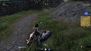 ESO Fluffy's Journey: Joining Guilds, Part 1