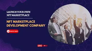 Leading NFT Marketplace Development Company | Zodeak 