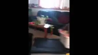 Treadmill 2