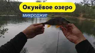 #микроджиг