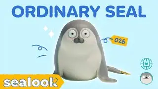 All of Ordinary Seal #026 Compilation | Insomnia | SEALOOK