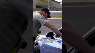 FWF: Criminal Speeders 