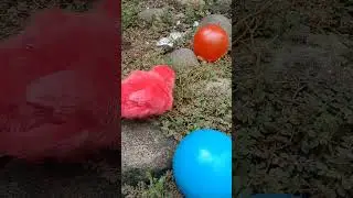 mencari anak ayam #cute #lucu #ayamwarnawarni #animalcute #animalsvideo #shortsvideo