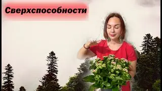 Сверхспособности / У кого есть сверхспособности?/ Что такое сверхспособности?