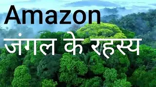 Amazon forest #facts