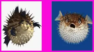 Shark Tale Characters IN REAL LIFE