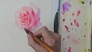 How to paint a pink rose with watercolor不打草稿水彩畫粉紅玫瑰