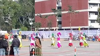 26 January  Bhangra