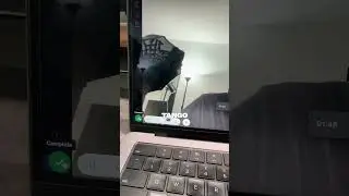 Leveling up my productivity with this extension 🙏